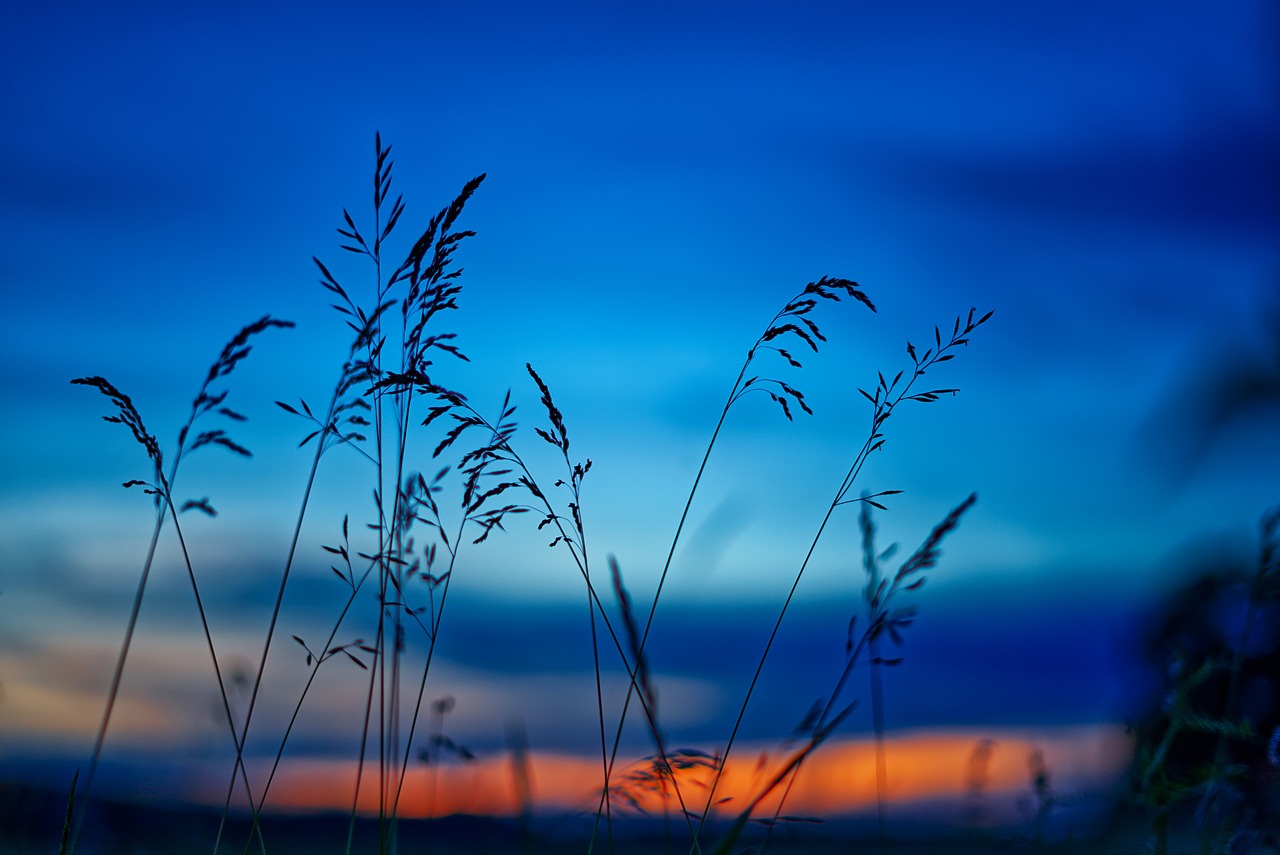 How to Paint A Realistic Sunset: A Step-By-Step Guide